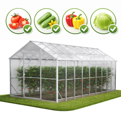 Drivhus Domek 250x600x230 cm 6 mm Polycarbonat