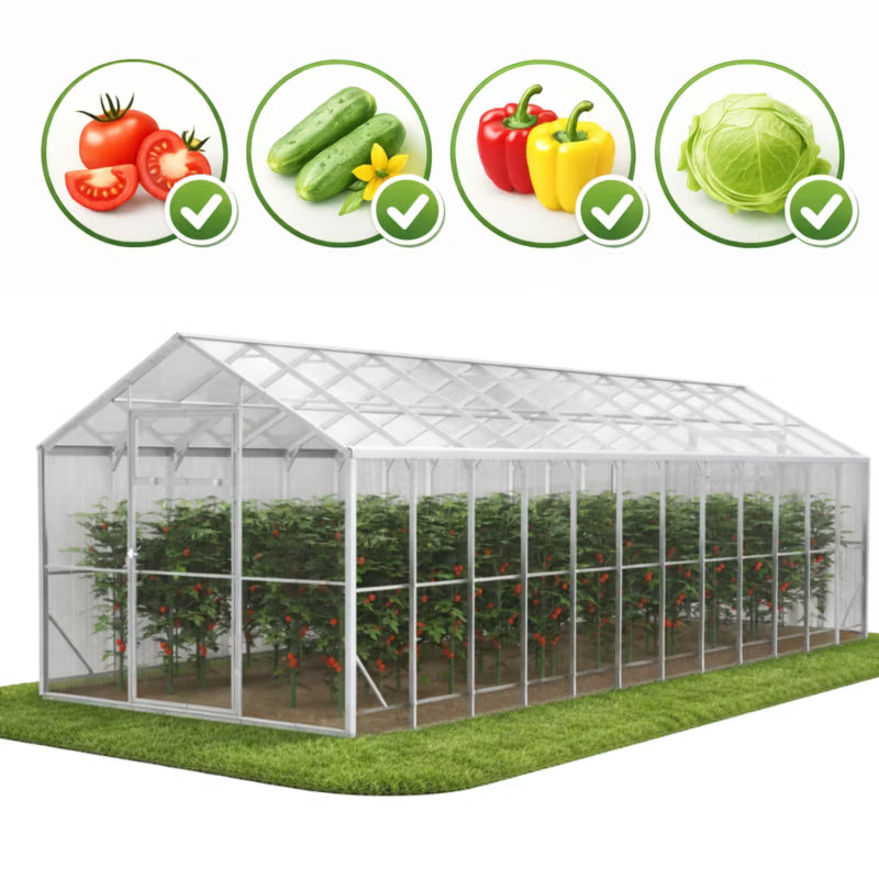 Drivhus DOMEK 250x800x230 cm Polycarbonat 20 m²