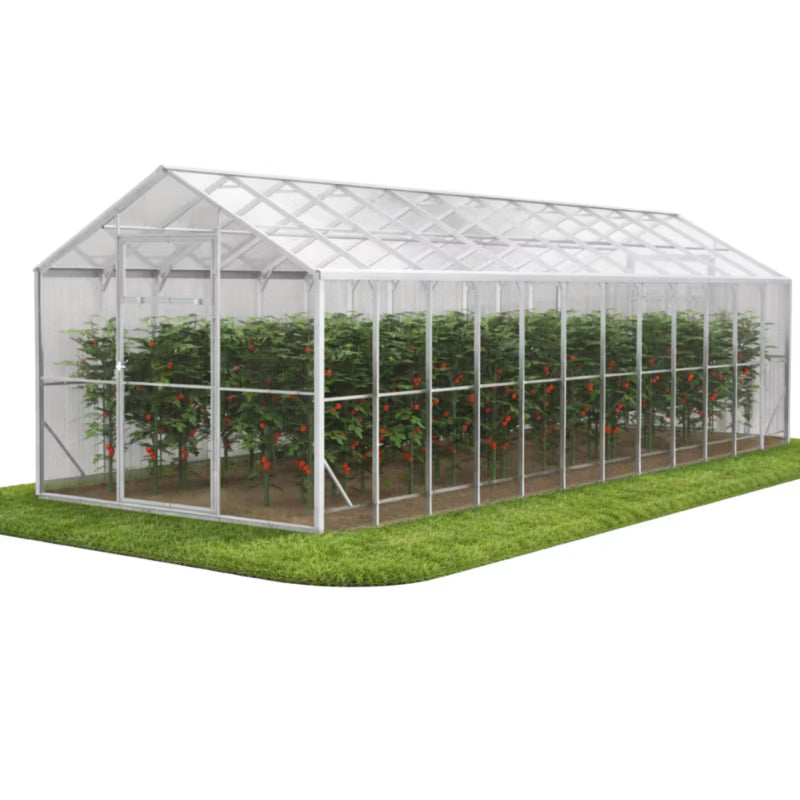 Drivhus DOMEK 250x800x230 cm Polycarbonat 20 m²