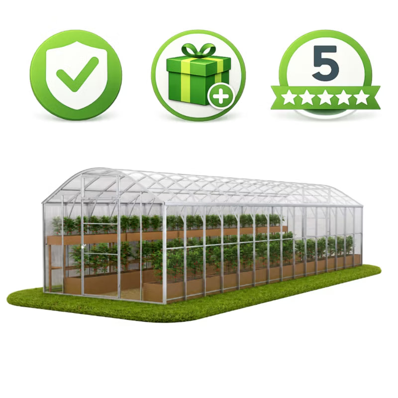 Drivhus Domek Plus 3x10 m Polycarbonat 5 mm