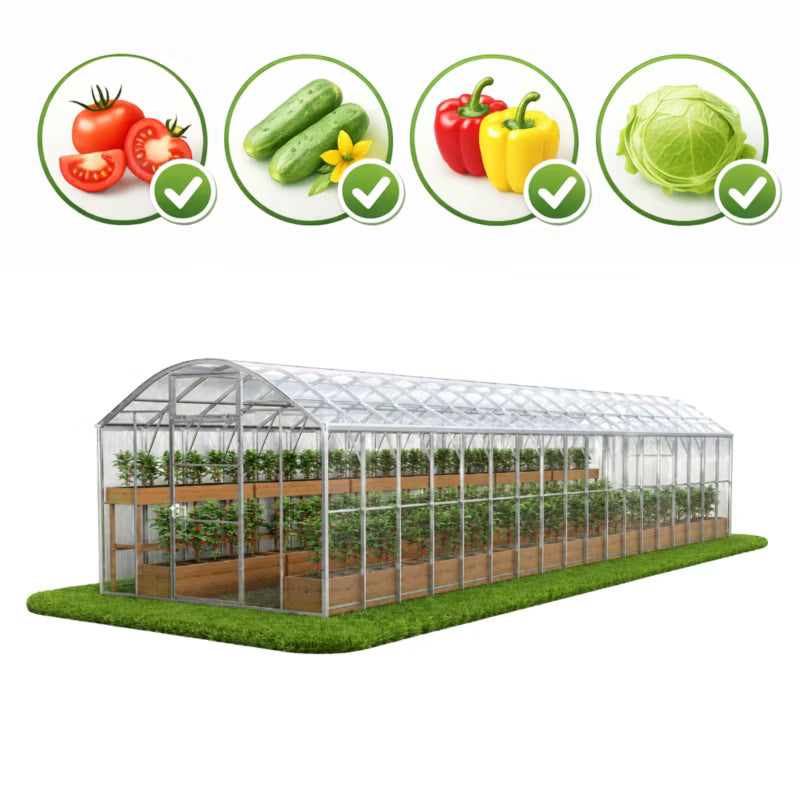 Drivhus DOMEK PLUS 3x12 m Polycarbonat 5 mm