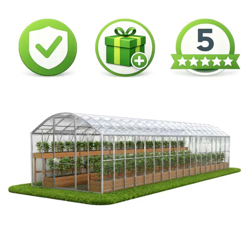 Drivhus DOMEK PLUS 3x12 m Polycarbonat 5 mm