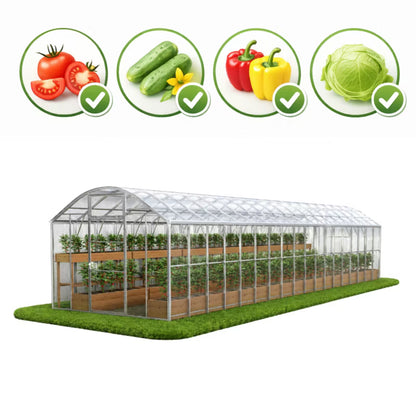 Drivhus DOMEK PLUS 3x12 m Polycarbonat 4 mm