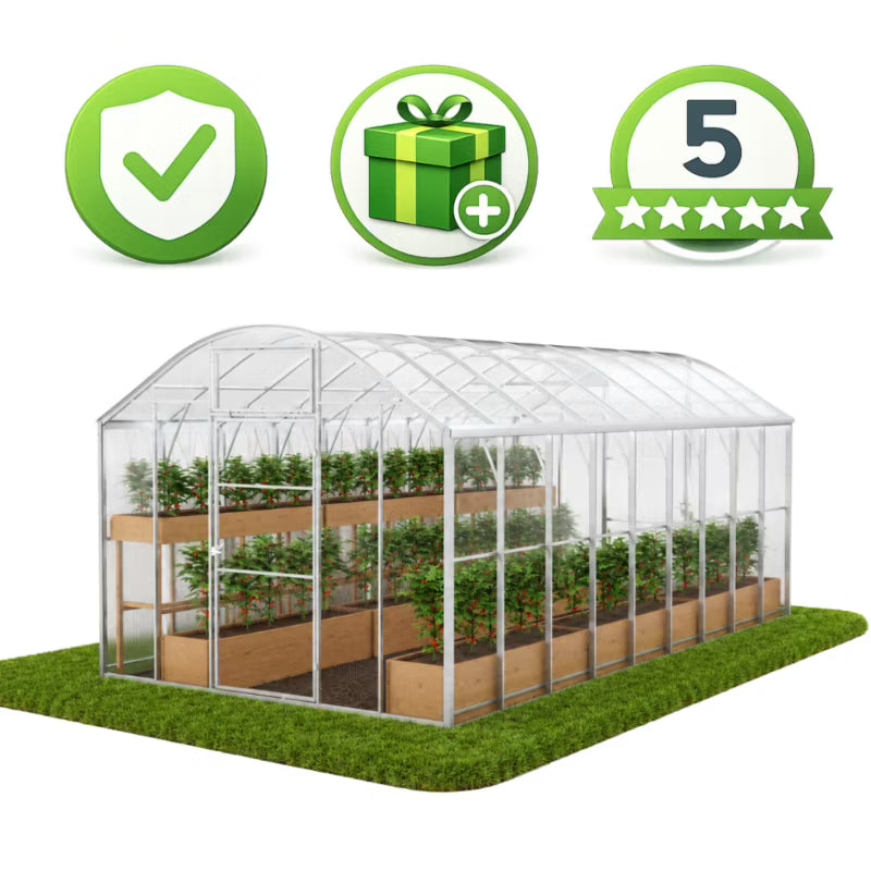 Drivhus Domek Plus 3x6 m Polycarbonat 6 mm Transparent