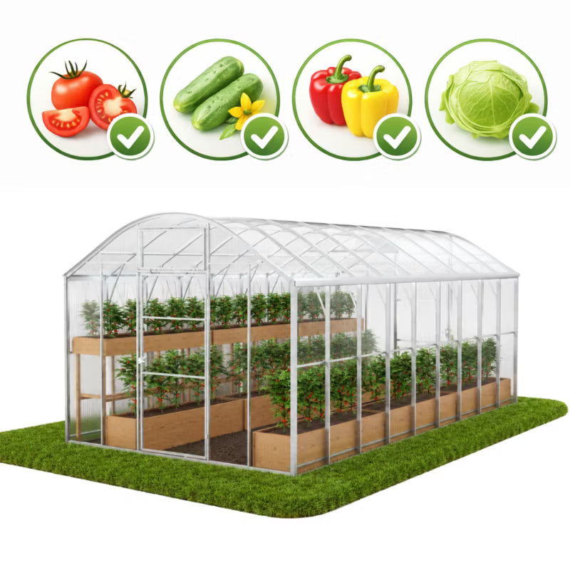 Drivhus Domek Plus 3x6 m Polycarbonat 6 mm Transparent