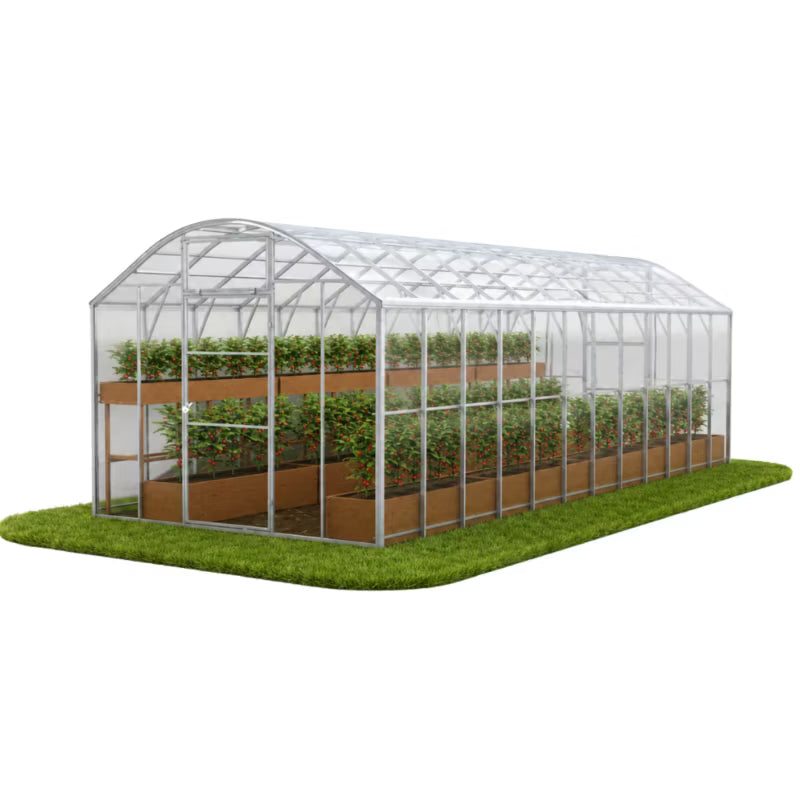 Drivhus DOMEK PLUS 3x8 m Polycarbonat 5 mm 24 m²