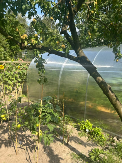 Drivhus i Polycarbonat 240x600 cm 14,4 m²