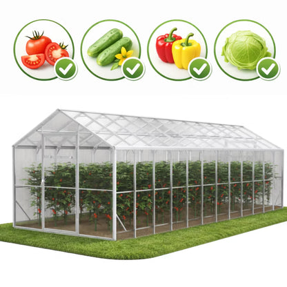 Drivhus i Polycarbonat 250x800x230 cm Transparent 20 m²
