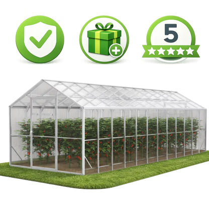 Drivhus i Polycarbonat 250x800x230 cm Transparent 20 m²