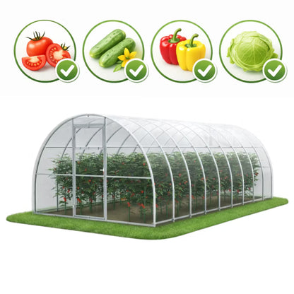 Drivhus i Polycarbonat 300x600 cm 18 m² Klar