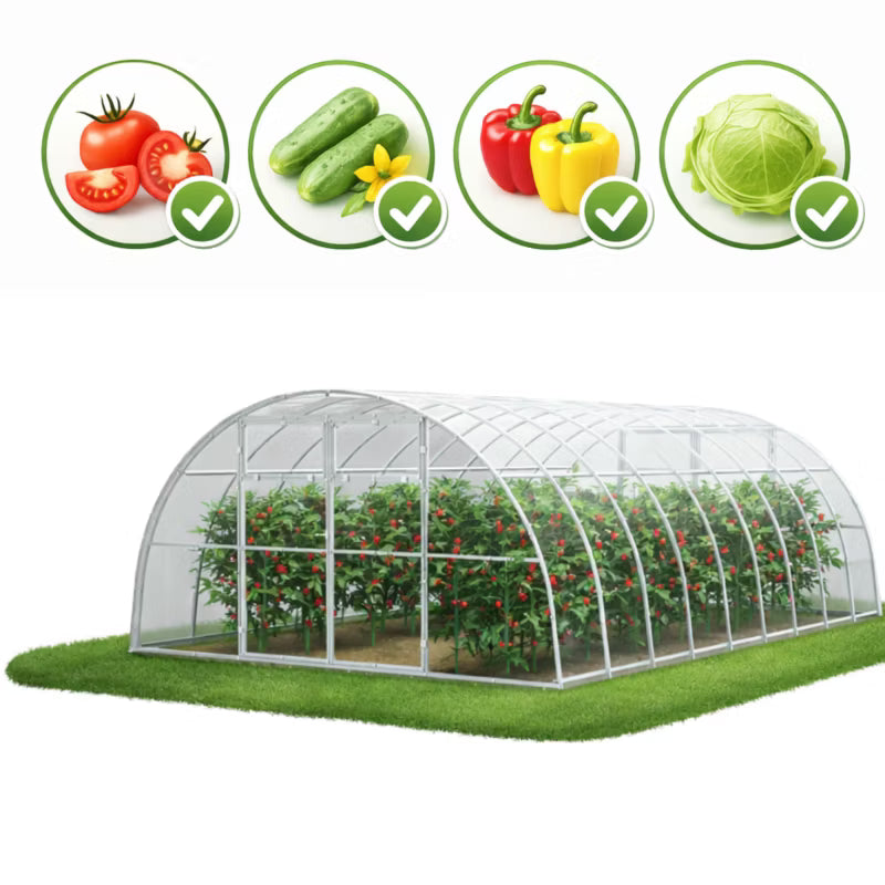 Drivhus i Polycarbonat 400x600 cm 24 m²