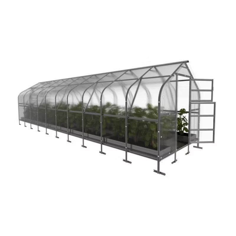 Drivhus Klasika Drop 2,5x12 m 6 mm Polycarbonat