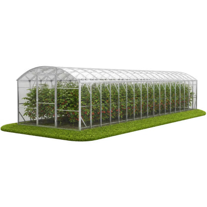 Drivhus Polka 300x1200 cm Polycarbonat 8 mm