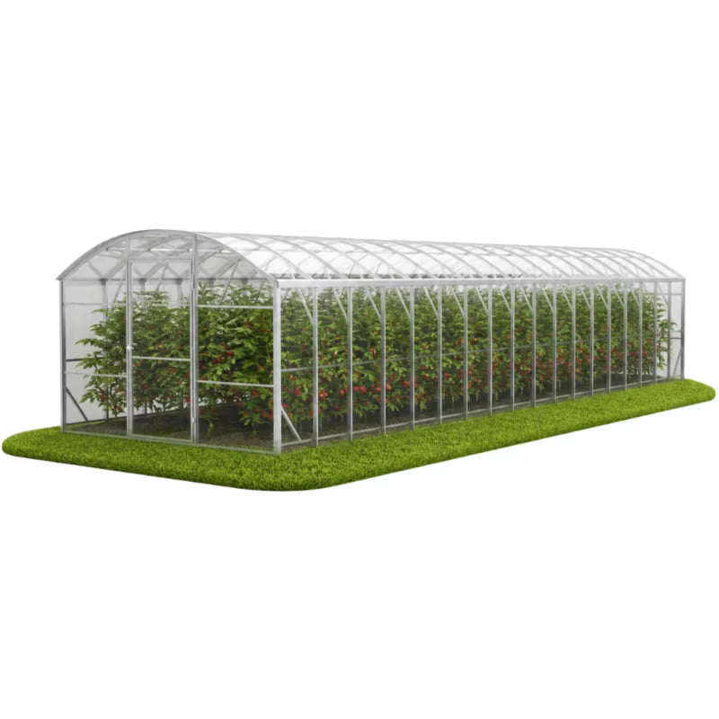 Drivhus Polka 300x1200 cm Polycarbonat 8 mm