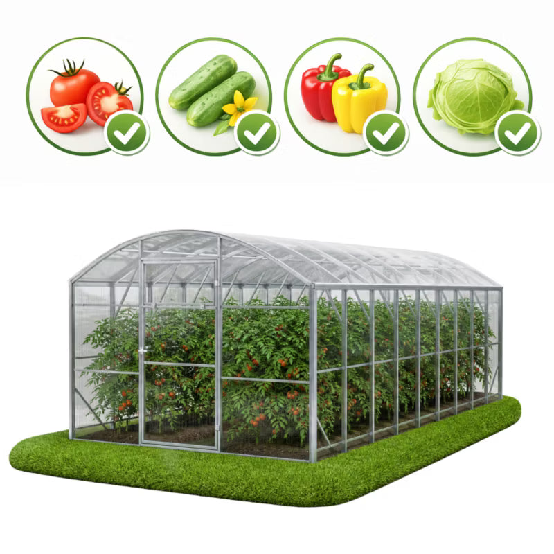 Drivhus Polka 300x600 cm Polycarbonat 18 m²