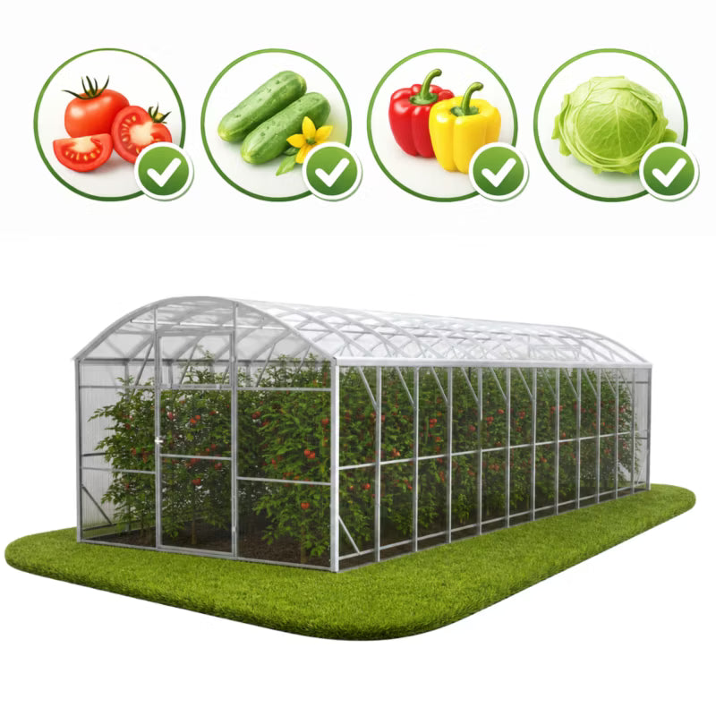 Drivhus POLKA 300x800 cm 8 mm Policarbonat 24 m²