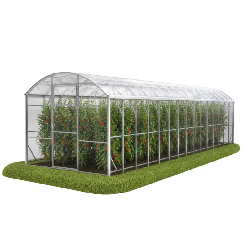 Drivhus Polka 3x10 m Transparent Polycarbonat 30 m²