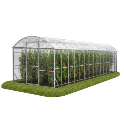 Drivhus Polka 3x10 m Transparent Polycarbonat 30 m²