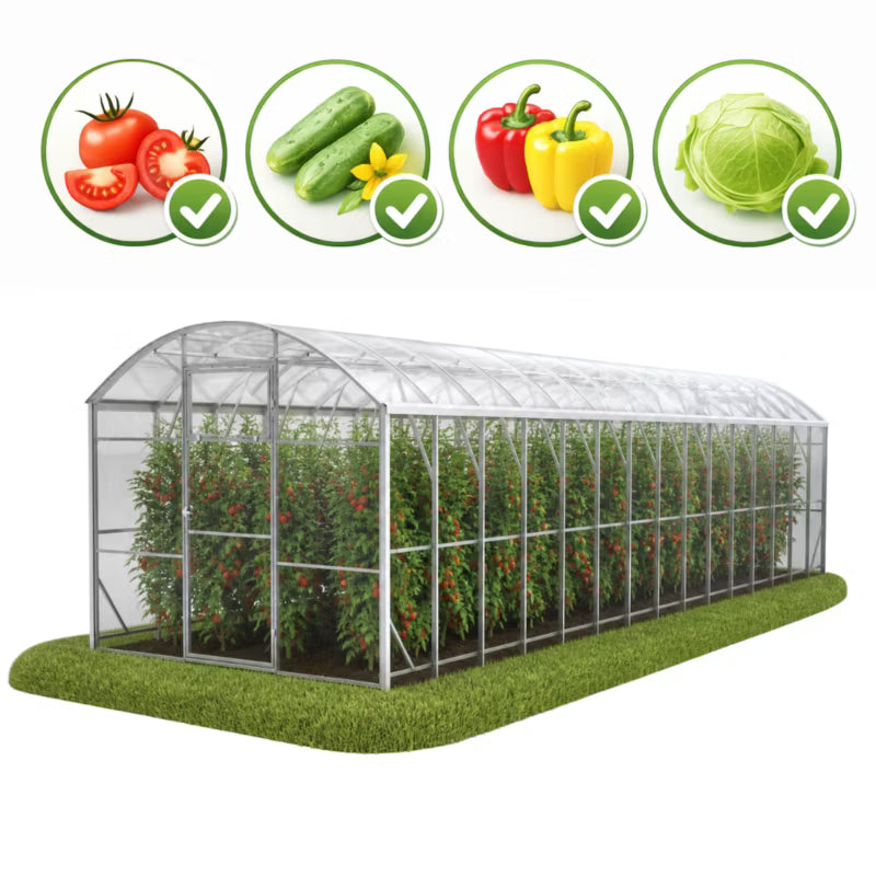 Drivhus Polka 3x10 m Transparent Polycarbonat 30 m²