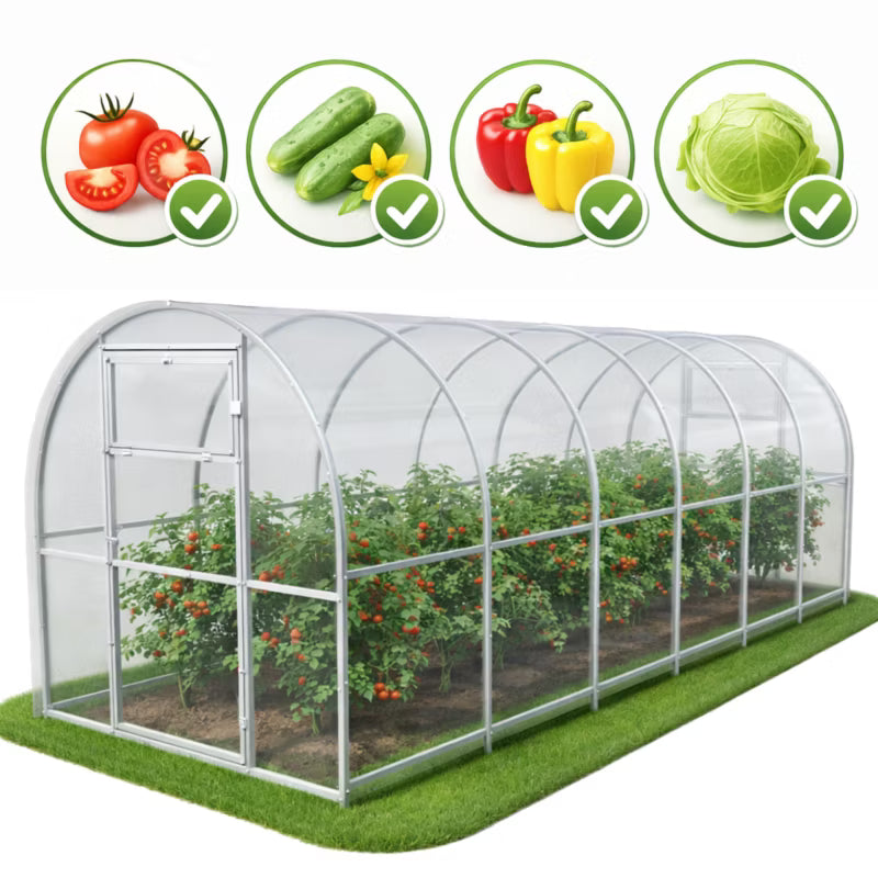 Drivhus Polycarbonat 200x600x200 cm 12 m²