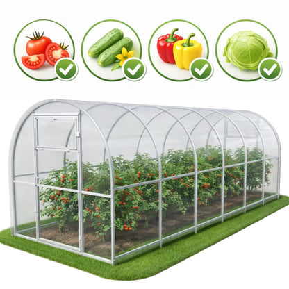 Drivhus Polycarbonat 200x600x200 cm 12 m²