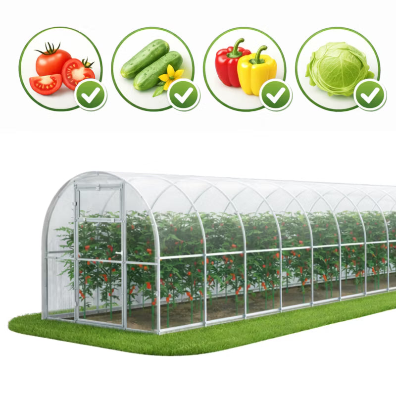 Drivhus i Polycarbonat 240x1000 cm 24 m² Transparent