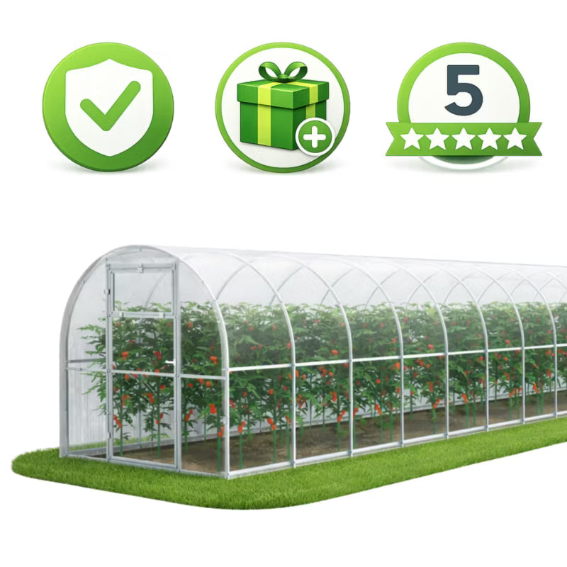 Drivhus i Polycarbonat 240x1000 cm 24 m² Transparent