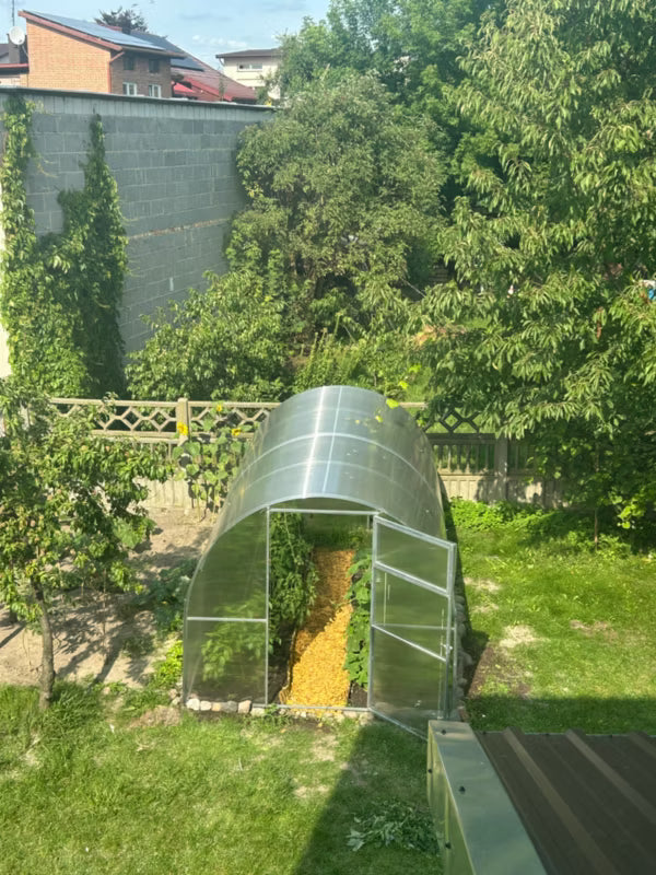 Drivhus i Polycarbonat 240x1000 cm 24 m² Transparent
