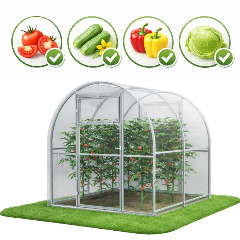 Drivhus i Polycarbonat 240x200x200 cm 4,8 m² Klar