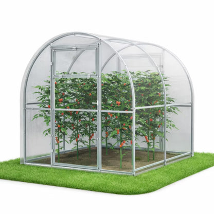 Drivhus i Polycarbonat 240x200x200 cm 4,8 m² Klar
