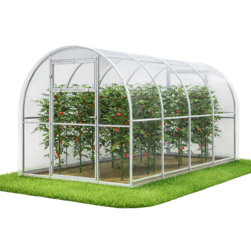 Drivhus i Polycarbonat 240x400 cm 9,6 m² Klar