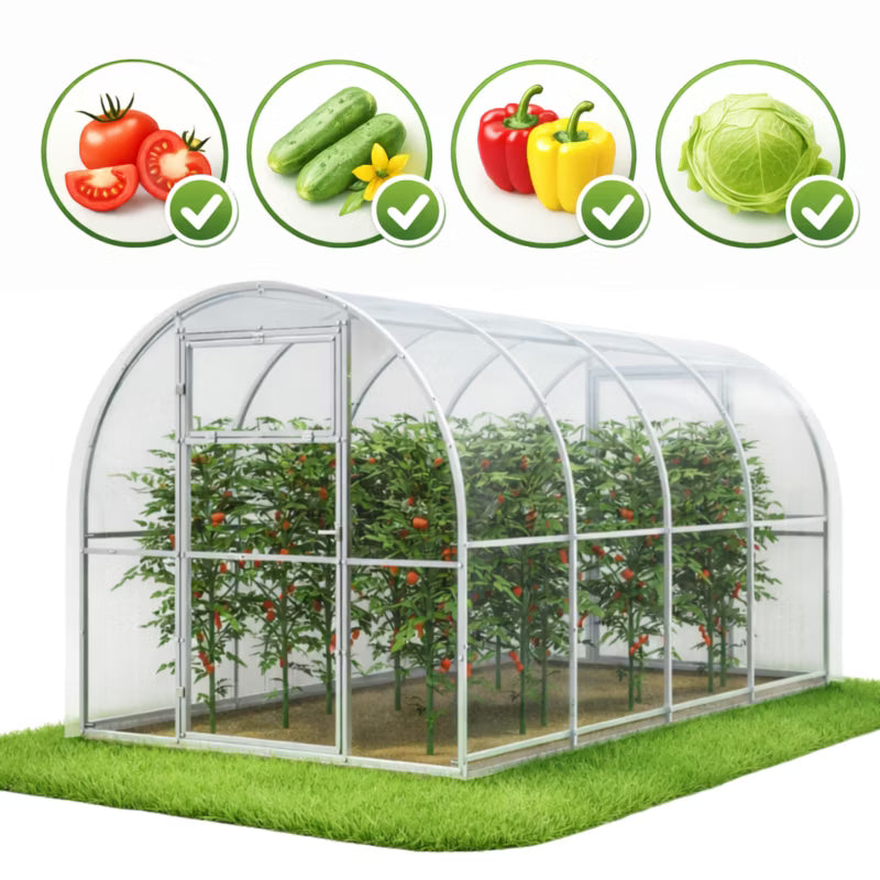Drivhus i Polycarbonat 240x400 cm 9,6 m²