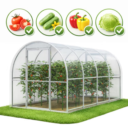 Drivhus i Polycarbonat 240x400 cm 9,6 m²