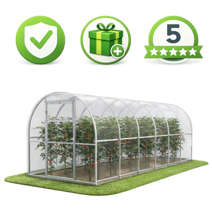 Drivhus i Polycarbonat 240x600 cm 14,4 m² Transparent