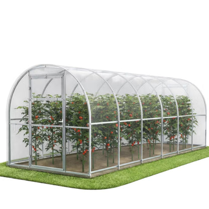 Drivhus Polycarbonat 240x600 cm 14,4 m² Klar