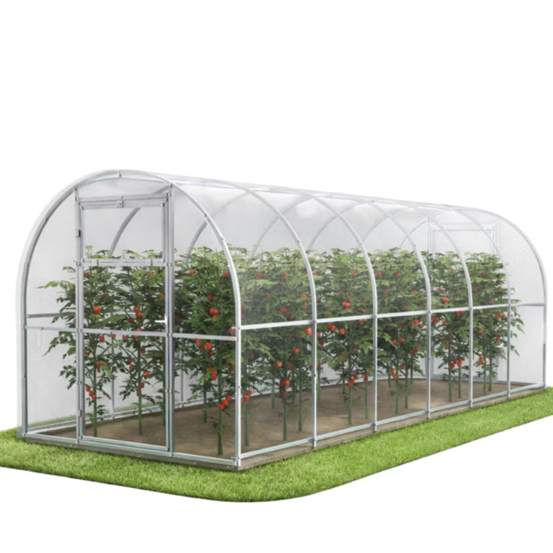 Drivhus Polycarbonat 240x600 cm 14,4 m² Klar