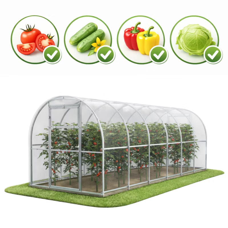 Drivhus Polycarbonat 240x600 cm 14,4 m² Klar