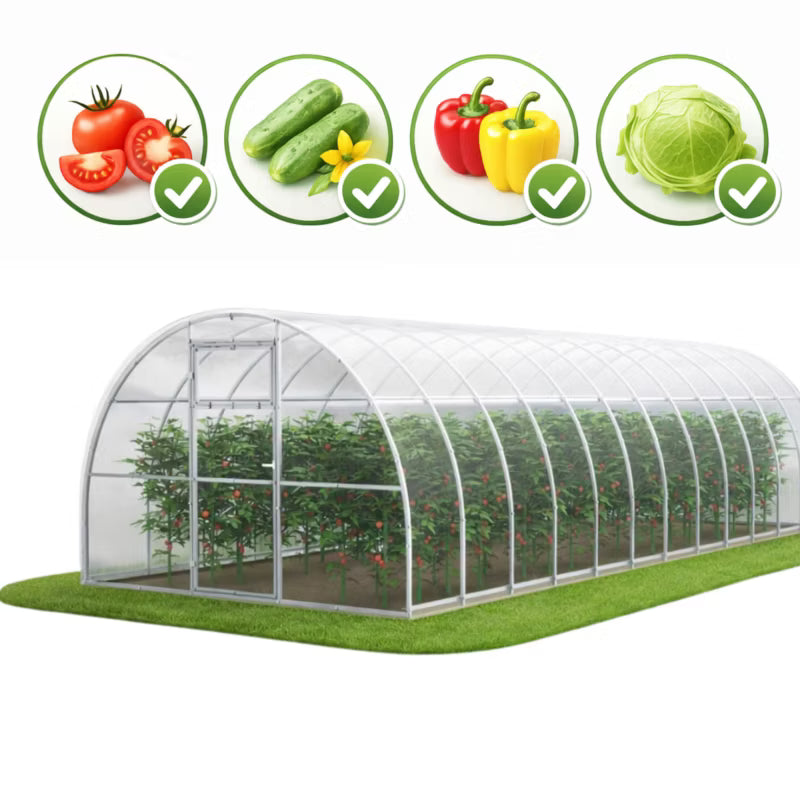 Drivhus i Polycarbonat 300x800x200 cm 24 m² Klar