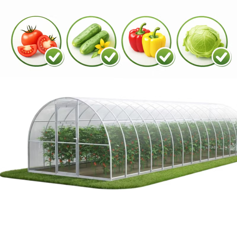 Drivhus Polycarbonat 30 m² 300x1000 cm Transparent