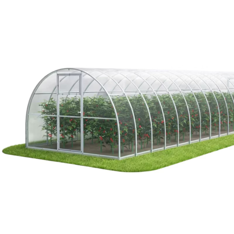 Drivhus i Polycarbonat 300x1200 cm 36 m² Transparent
