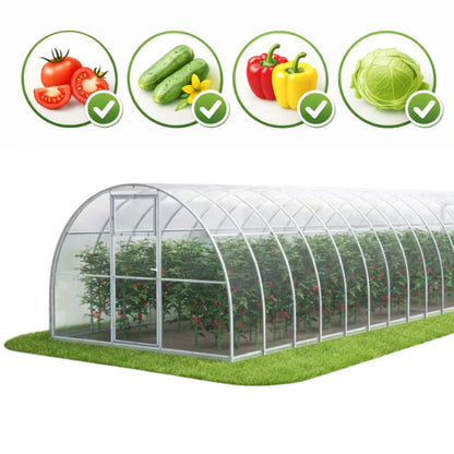 Drivhus i Polycarbonat 300x1200 cm 36 m² Transparent