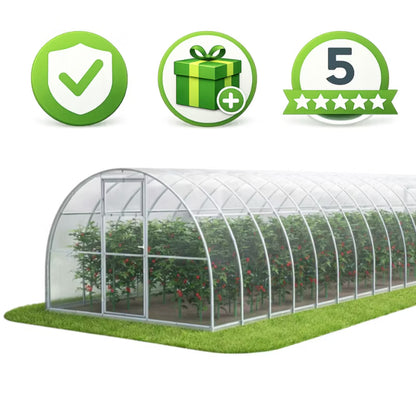 Drivhus i Polycarbonat 300x1200x200 cm 36 m² Transparent