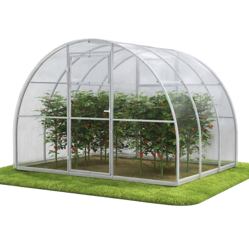 Drivhus i Polycarbonat 300x200x200 cm 6 m²