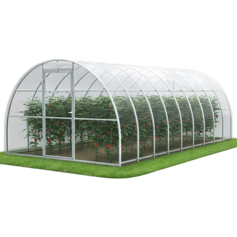 Drivhus i Polycarbonat 300x600 cm 18 m² Transparent