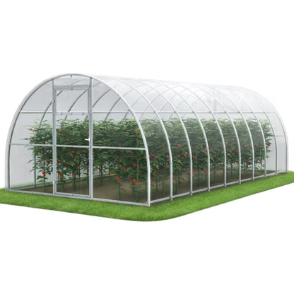 Drivhus i Polycarbonat 300x600 cm 18 m² Transparent
