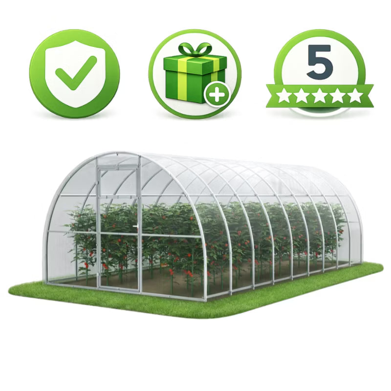 Drivhus i Polycarbonat 300x600 cm 18 m² Transparent
