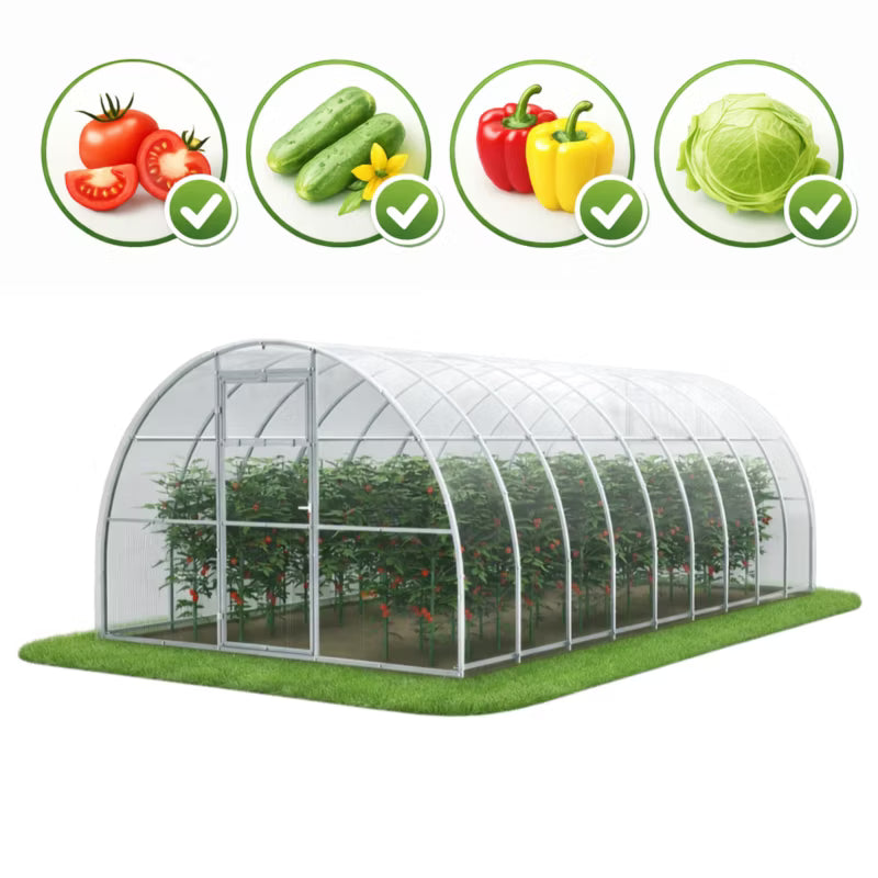 Drivhus i Polycarbonat 300x600 cm 18 m² Transparent