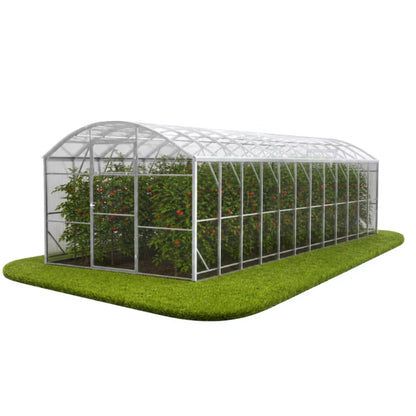 Drivhus Polycarbonat 300x800 cm Transparent 24 m²