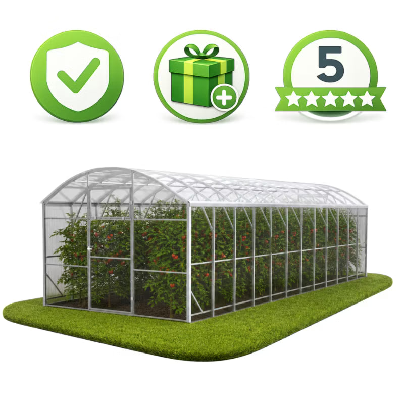 Drivhus Polycarbonat 300x800 cm Transparent 24 m²