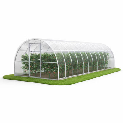 Drivhus Polycarbonat 300x800 cm 24 m² Klar